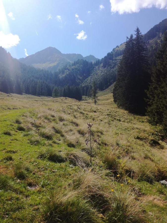 Appartement Almzeit Mit Infrarotkabine Grosssolk Esterno foto